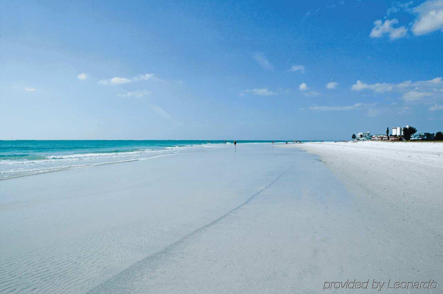 Hilton Garden Inn Sarasota-Bradenton Airport Exteriér fotografie