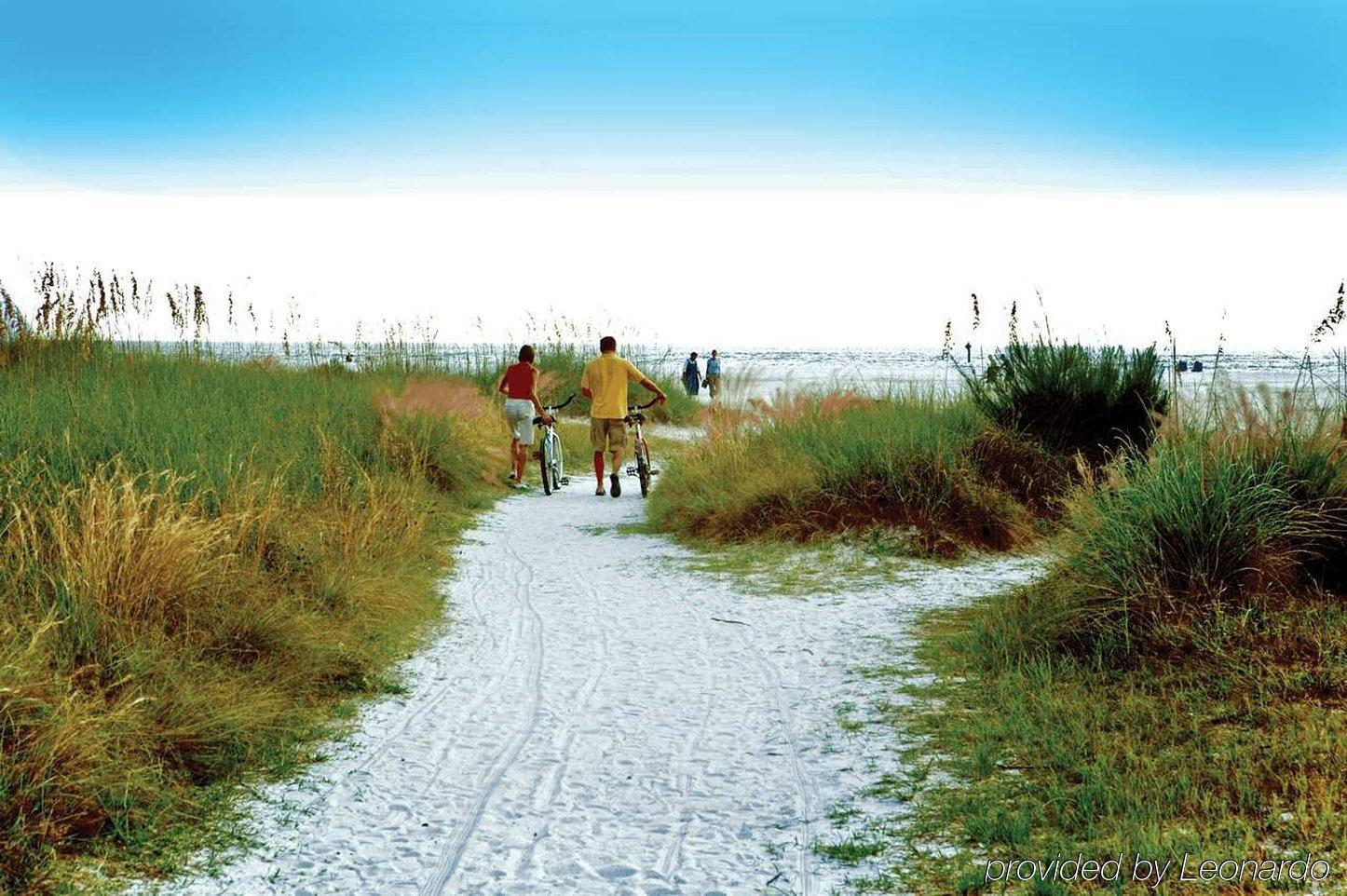 Hilton Garden Inn Sarasota-Bradenton Airport Exteriér fotografie